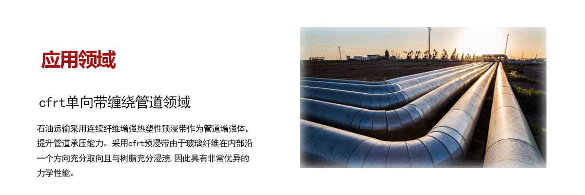 石油管道(dao)領域