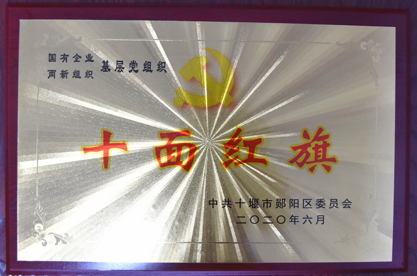 基層(céng)黨組織“十面紅旗”2020