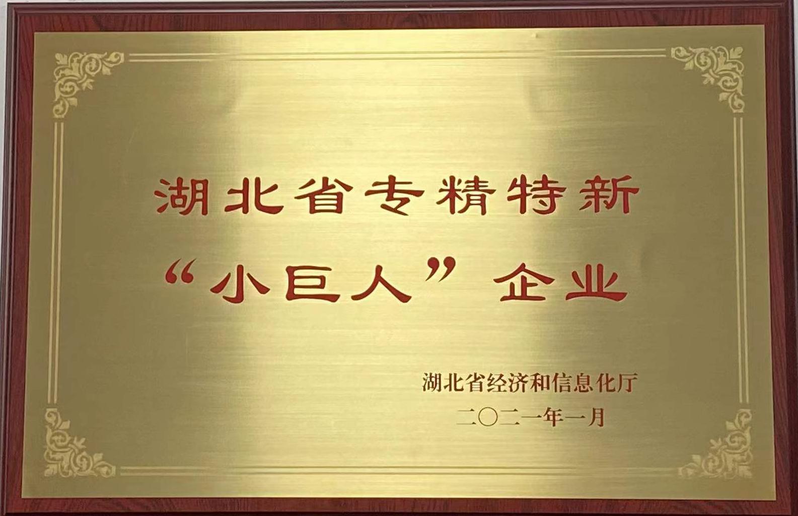 湖北(běi)省專精(jīng)特新(xīn)小(xiǎo)巨人(rén)