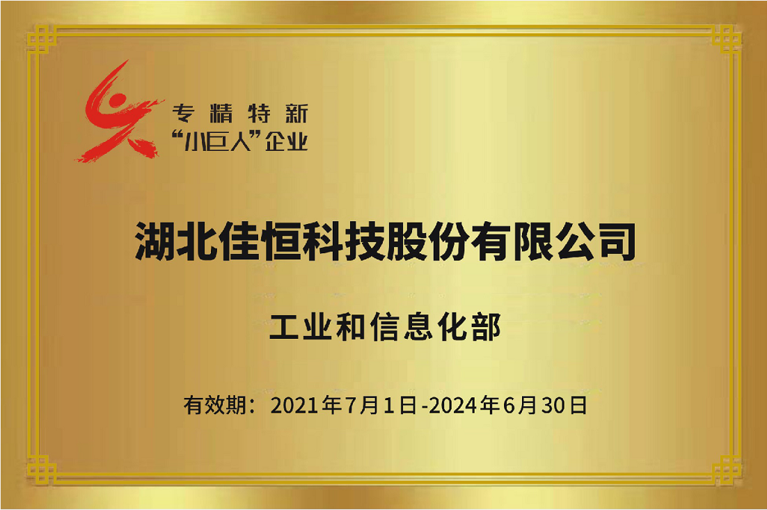 國家級專(zhuān)精(jīng)特新(xīn)小(xiǎo)巨人2021