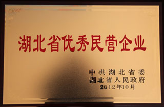 湖北(běi)省優秀(xiù)民營企(qǐ)業